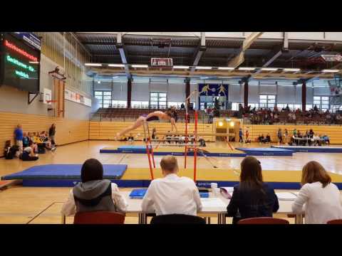 Bezirksmeisterschaften 2017