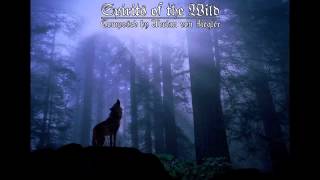 Download lagu Celtic Music - Spirits of the Wild mp3