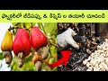 See how these products are made in factory | factory made | bmc facts | facts in Telugu|food factory