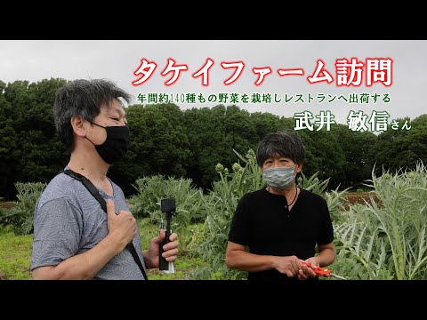 アーティチョーク、さまざまな利点