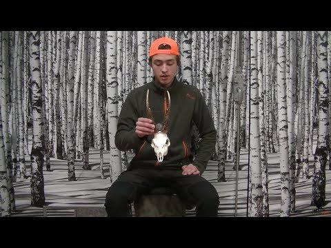 Bockjakt 2017, medaljbocken från Värmland | Antonsjakt