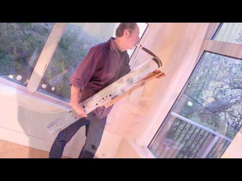 Big Memreed—Bart Hopkin