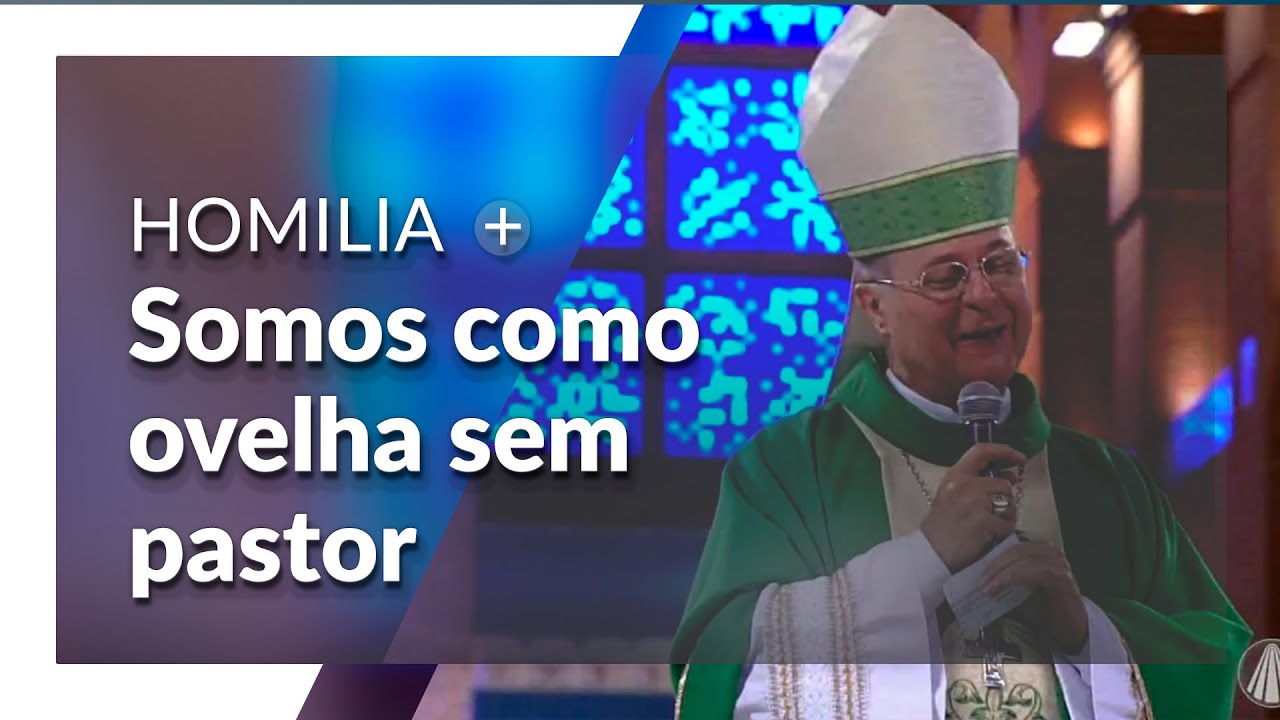 Santuário Nacional | Homilia: Somos como ovelha sem pastor por Dom Darci