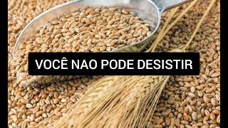 Não é hora de desistir ( Ouça Deus falar ao teu coração )