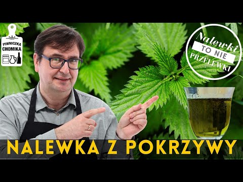 An exceptionally healthy nettle tincture. Why is it worth making?