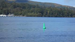 Postcard from Loch Lomond