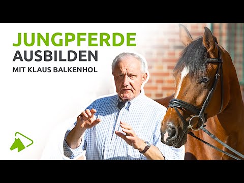 This is how young horse training works | The Balkenhol philosophy | wehorse