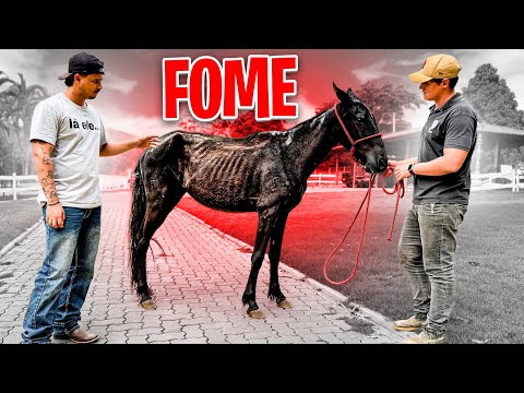 Embaixadores do Pepê and Lucas Uai