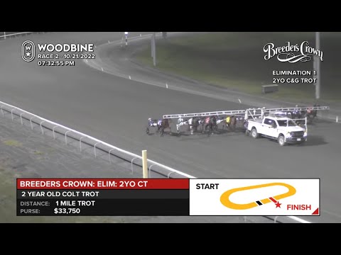 2022 Breeders Crown - 2 YO Colt Trot  Elim 1