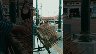 Download lagu MALIHI versi angklung #shorts mp3 Download lagu MALIHI versi angklung #shorts mp3