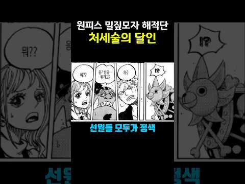 원피스 밀짚모자 해적단 처세술의 달인