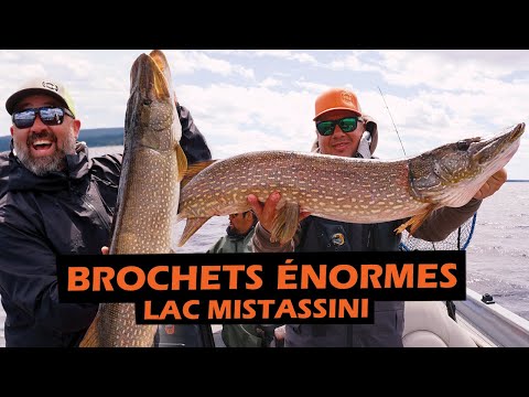 CARNASSIERS du GRAND-NORD - Lac Mistassini | Roadfish - Saison 8 Épisode 9