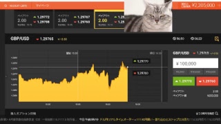【FX】2万円負けたのでデモで練習して取り返す【BO】