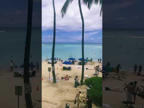 Blue Hawaii (Elvis Presley 1961)