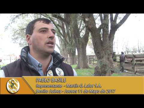 11-05-17 Nota Pablo Basile - Martin G. Lalor S.A. - Benito Juárez