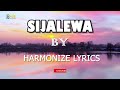Harmonize - Sijalewa lyrics video