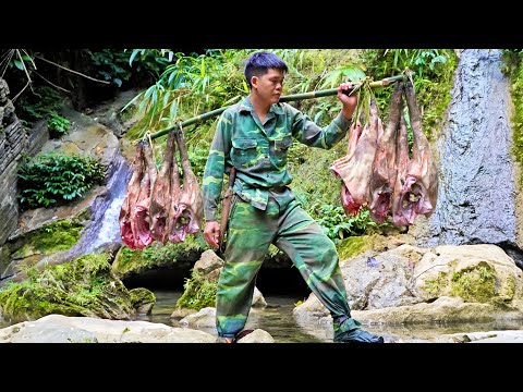 200 days of survival, traces of wild animals, traps, wild goats, stream fish, jungle fowl, wild boar