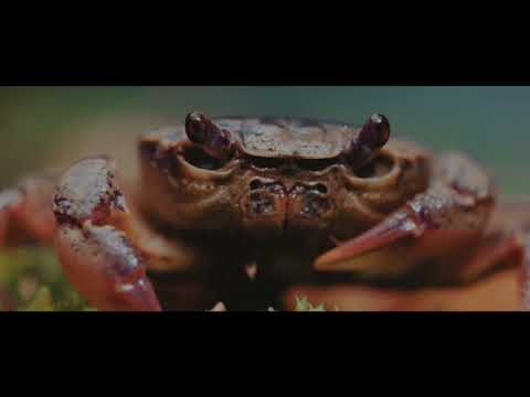 Montemurlo video promozionale