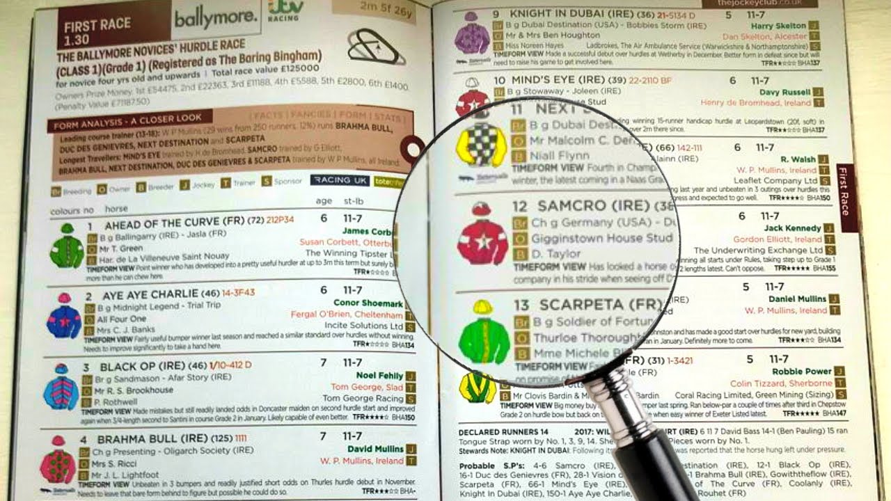 How to read a horse racecard
