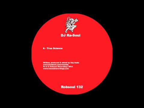S.W.A.T. - Rights Of Passage (Robsoul)