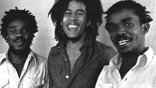 Bob Marley &amp; The Wailers - Them Belly Full (But We Hungry) Studio Demo HD