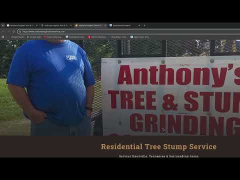 Anthony's Hughes Tree & Stump Grinding audit