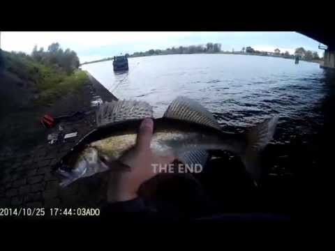 Pecanje smudj a na gumu | tvister | shad| Fishing and catching walleye on a jig