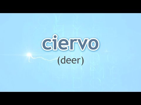 How to Pronounce Deer (Ciervo) in Spanish