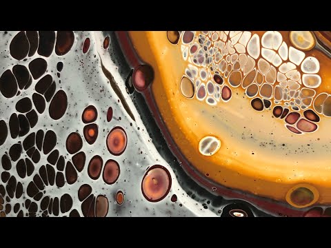 #300. Fluid Acrylics Demo—Sandwich Pour or a Coffee Pour?!!!  / Golden pouring medium