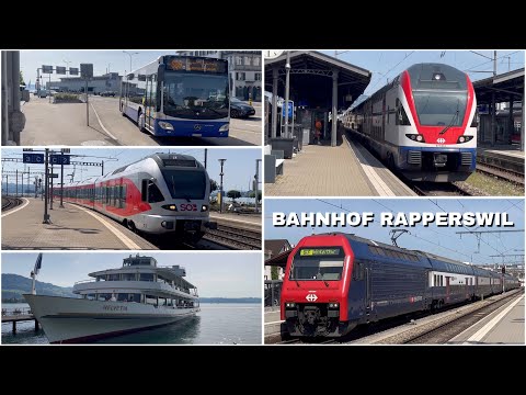 Züge beim Bahnhof Rapperswil | Trains at Rapperswil station (2024)
