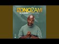 Izonozami Feat Olefied Khetha Radio Edit