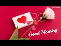 Good Morning Video Good Morning Song Good Morning Good Morning Status Good Morning Whatsapp