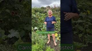 Carrot myths: BUSTED