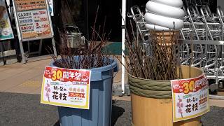 3月21日【びわ湖放送ニュース】道の駅アグリパーク竜王が３０周年祭