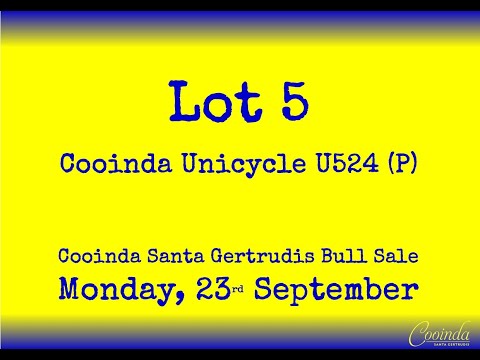2024 Cooinda Sale ~ Lot 5 ~ Cooinda Unicycle U524 (P)