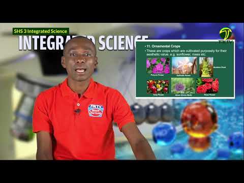 Integrated Science SHS 3 Lesson 1