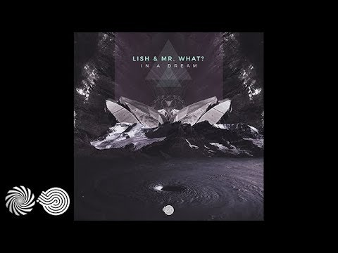 Lish & Mr.What? - In a Dream