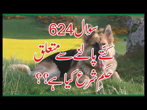 624 Kuttay Dogs Palna Kesa , Allama Syed Shah Turab ul Haq Qadri