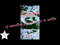 What Is The Life Of People In Asian Mountainous Areas Like In Winter Harsh Natural Weather