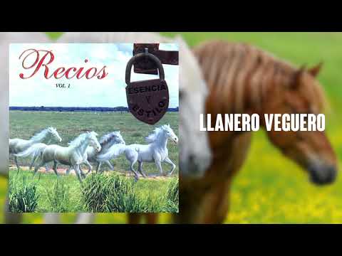 Llanero Veguero - Cristóbal Jiménez | Cover Audio | Música Llanera