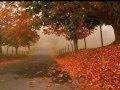 Autumn Leaves - Eric Clapton 