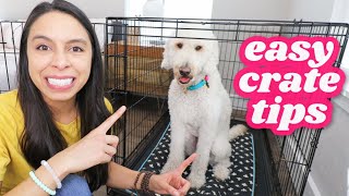 FIRST NIGHT: Crate Training 5 Easy Steps 🐶