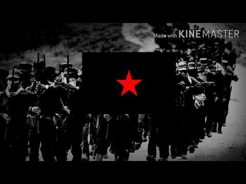 "Se acabó" - Canción guerrillera mexicana [Canción de José de Molina]