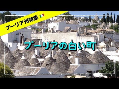 プーリア・アミールシャヒについて詳しく解説