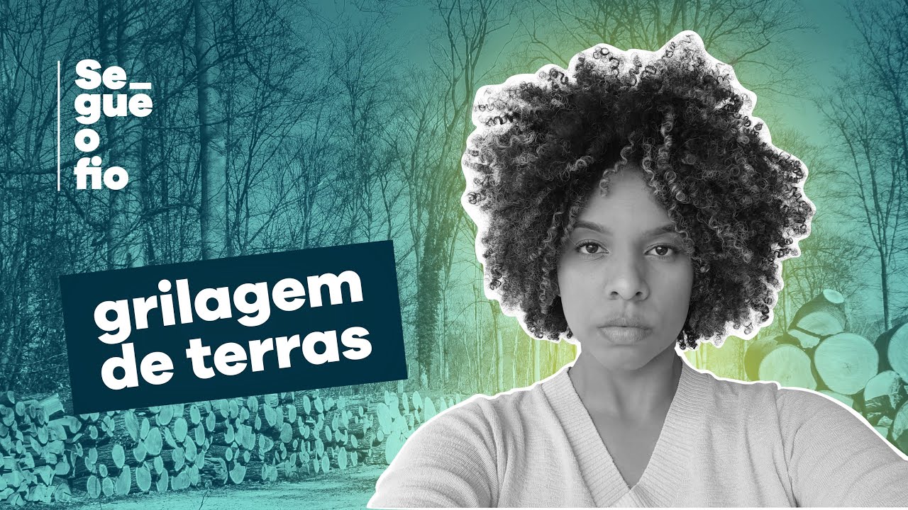 O QUE É GRILAGEM DE TERRAS? | SEGUE O FIO 04