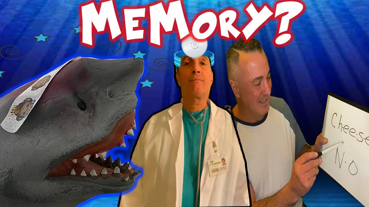 SHARK PUPPET LOSES HIS MEMORY YEAH!?!?