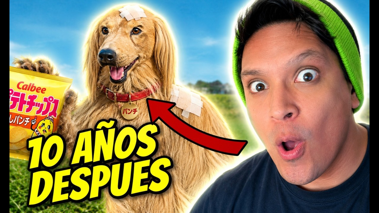 Consome Panchi...10 años Despues ! (Primo de Chewbacca)