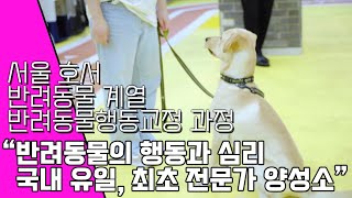 국내유일, 반려동물 행동 심리 전문가 양성 l 반려동물계열