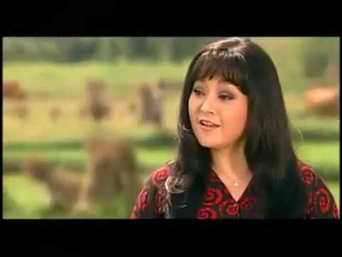 Thể hiện bởi Thái Châu