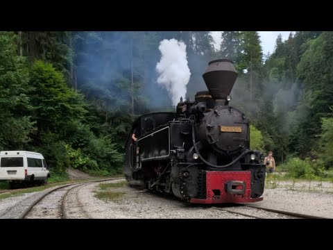 Experience Maramures: The Charm Of Romania's Mocanita Train | Journey for Lifetime